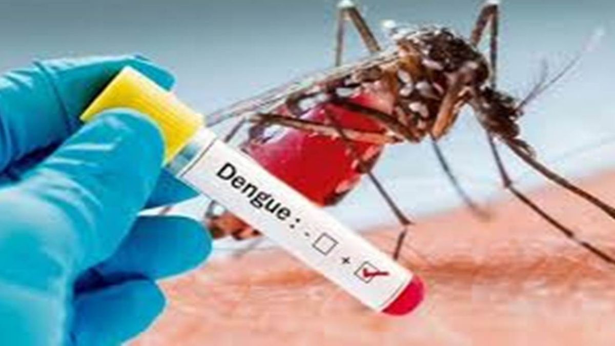 Dengue increased in Gwalior: 8 साल की बच्ची की डेंगू से दिल्ली में उपचार के दौरान मौत, ग्वालियर बढ़ रहे आकड़े